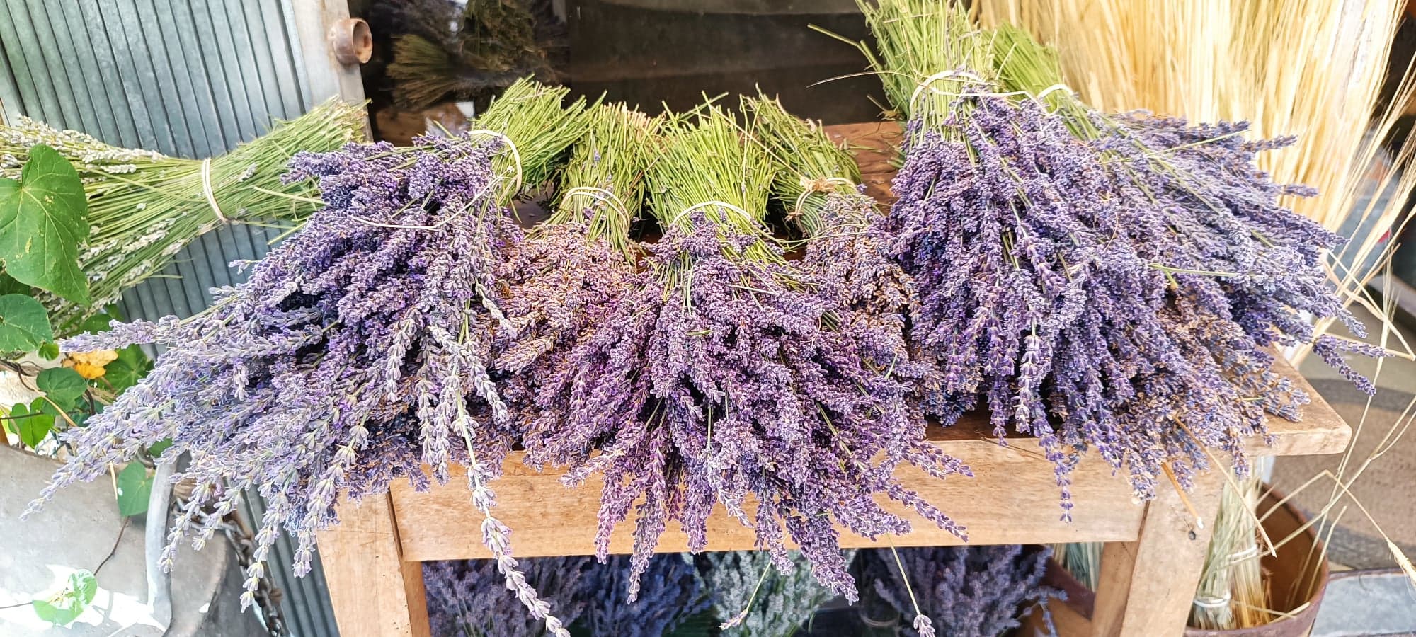 Plateau of Valensole and Lavender - Private from Aix-en-Provence