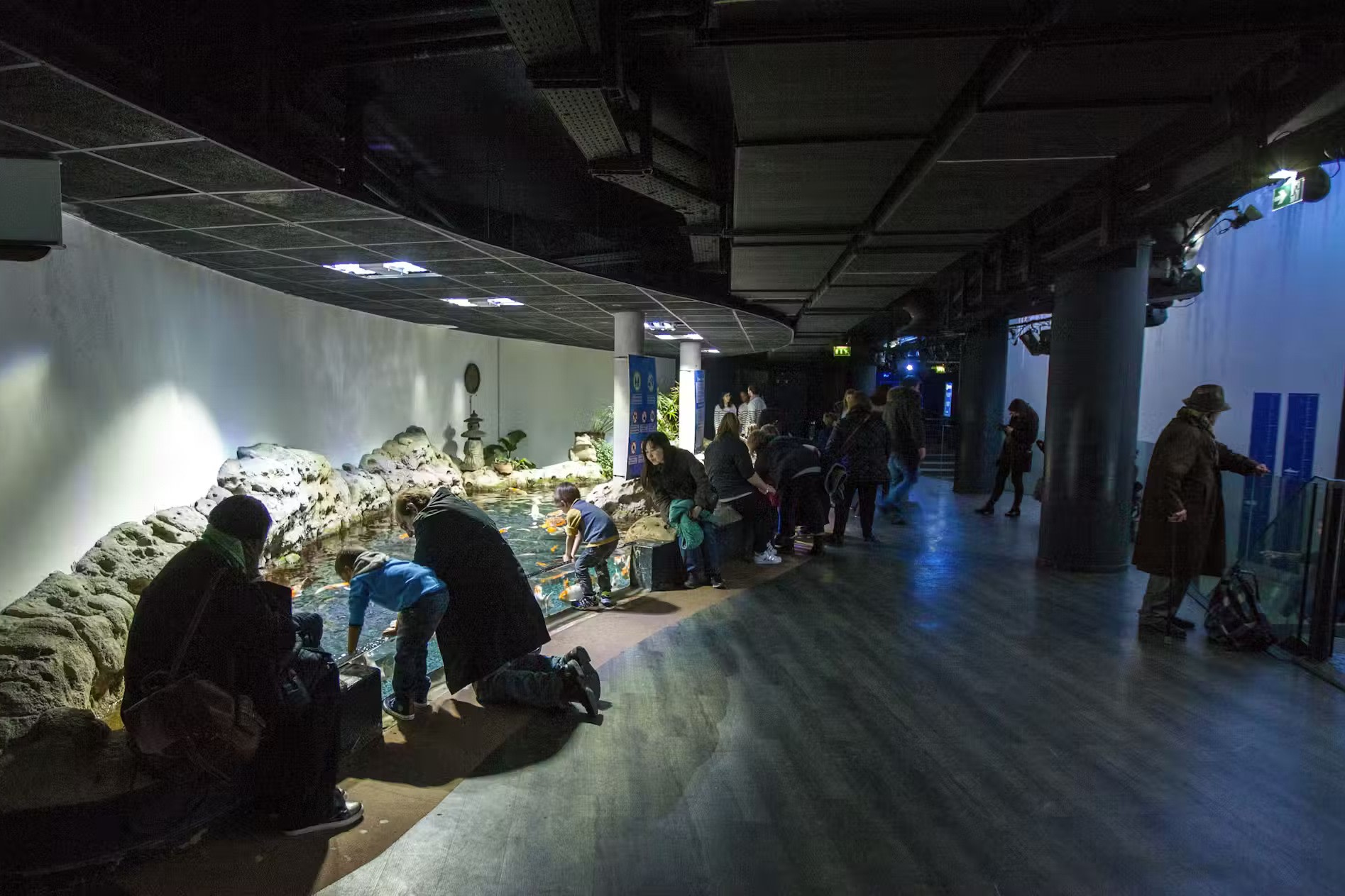 探索以熱帶、淡水和本地物種為特色的主題區域