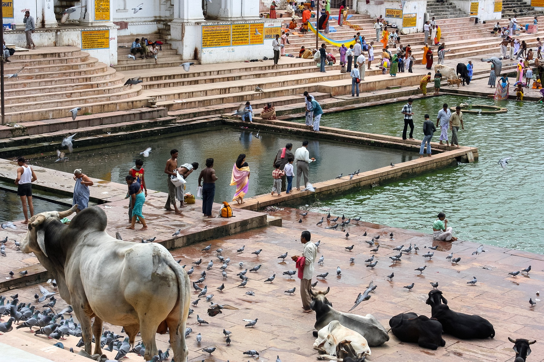 Pushkar Ghat.
