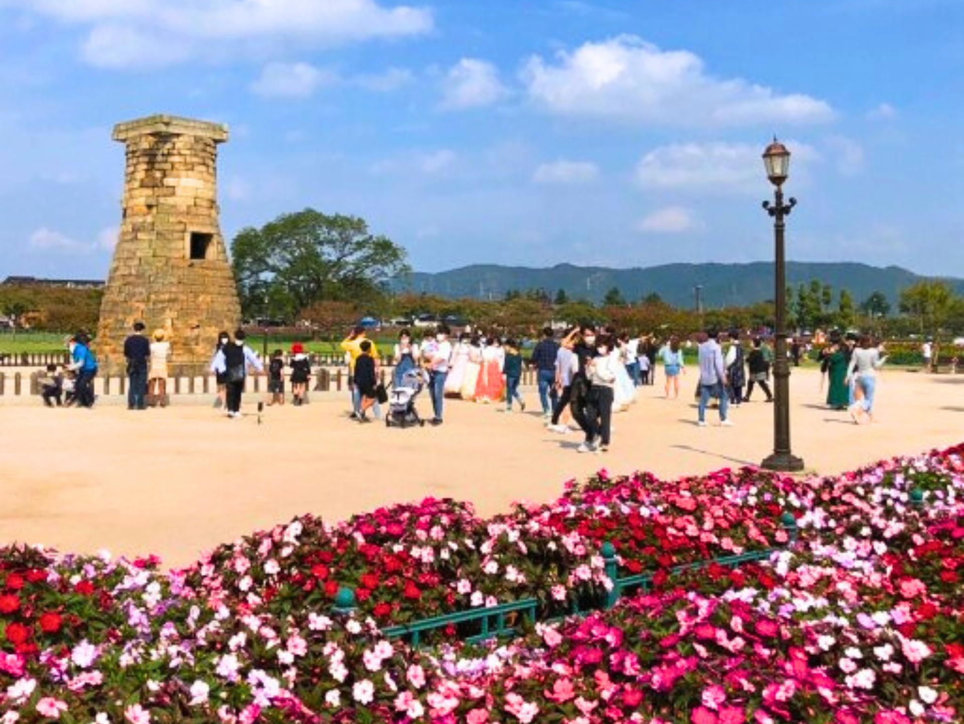 慶州黃理團路×佛國寺秋楓之旅（釜山）