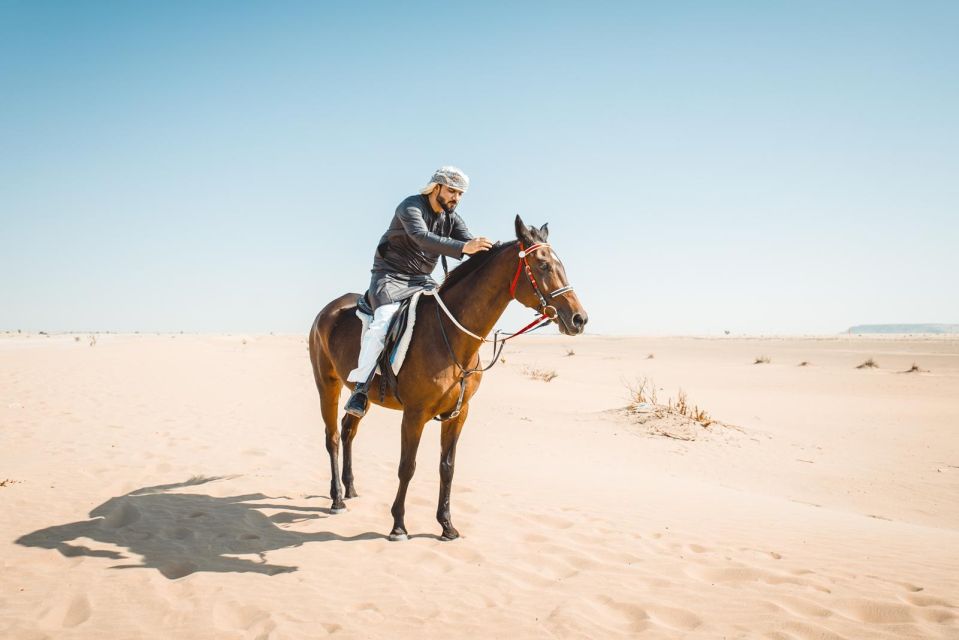 沙姆沙伊赫ATV探險 & 騎馬 & 騎駱駝之旅（含早餐）