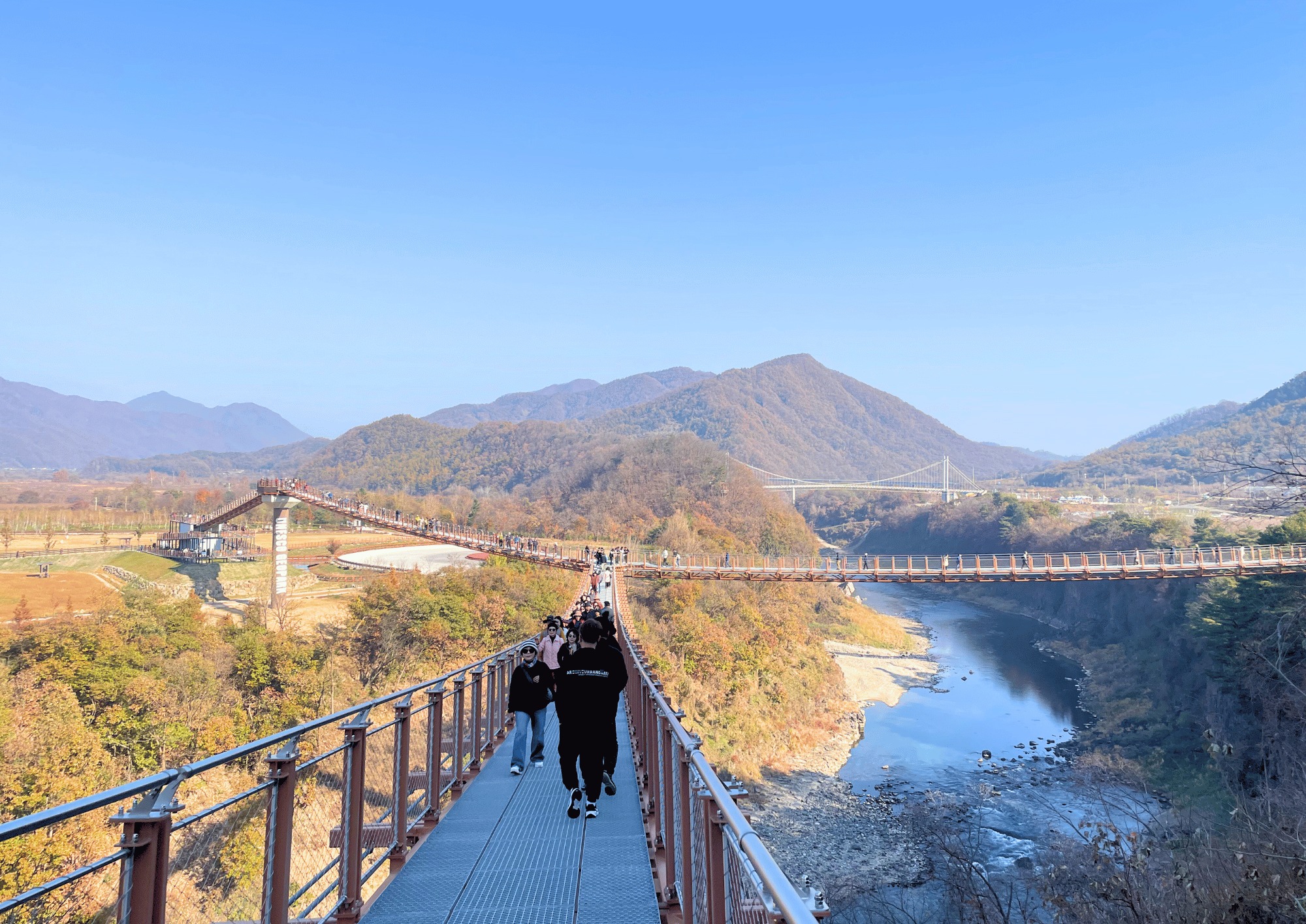 抱川一日遊：Y 字型吊橋與香草島樂園