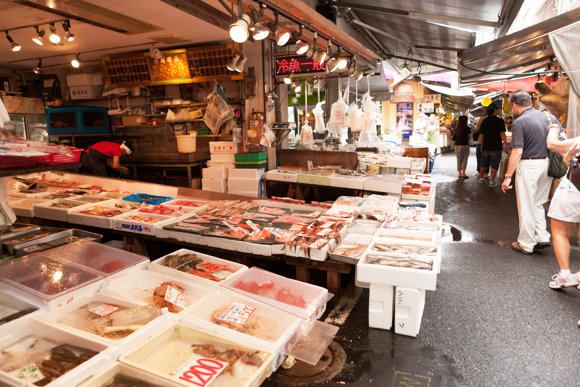 築地魚市場半日美食之旅