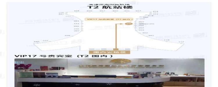 VIP Lounge No. 17 (T2 Domestic Departure)