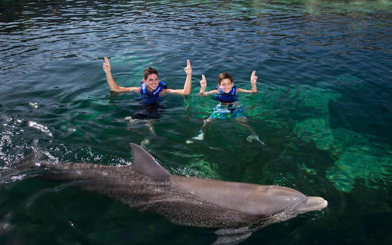 Swim with Dolphins Experience In Delphinus Xcaret