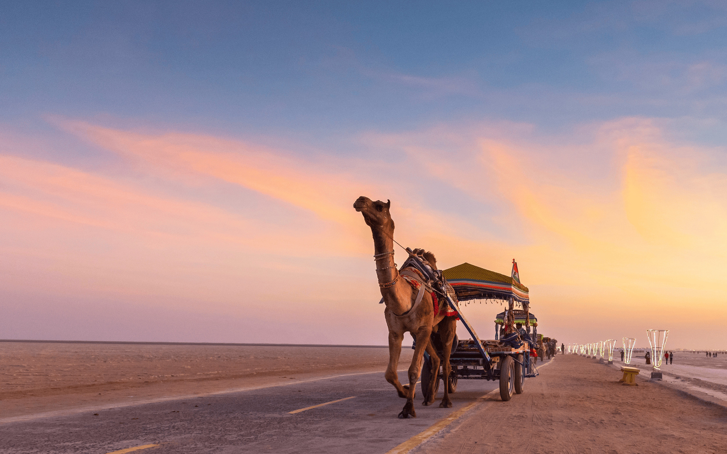 From Bhuj: 2-Day Rann of Kutch & White Rann Tour with Tent Stay