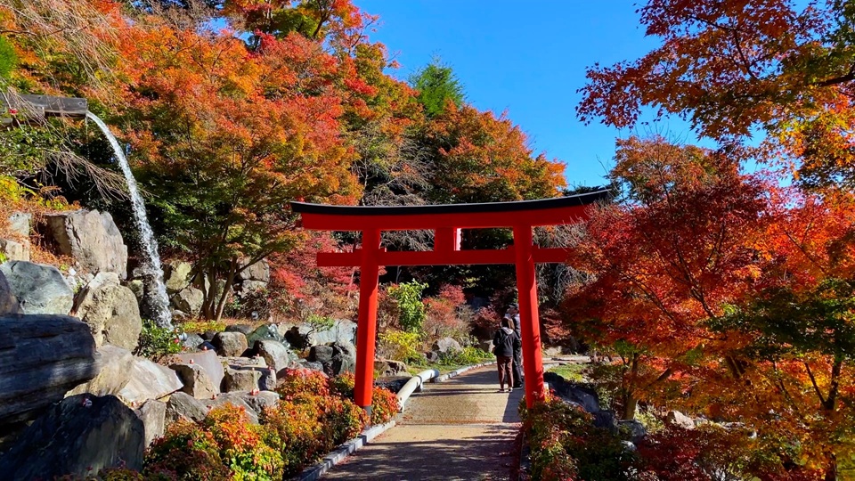 Kansai popular attractions Osaka Katsuoji Temple, Kyoto Arashiyama, Uji Byodoin Temple one-day tour | Optional exclusive A5 premium Kobe beef (depart from Osaka)