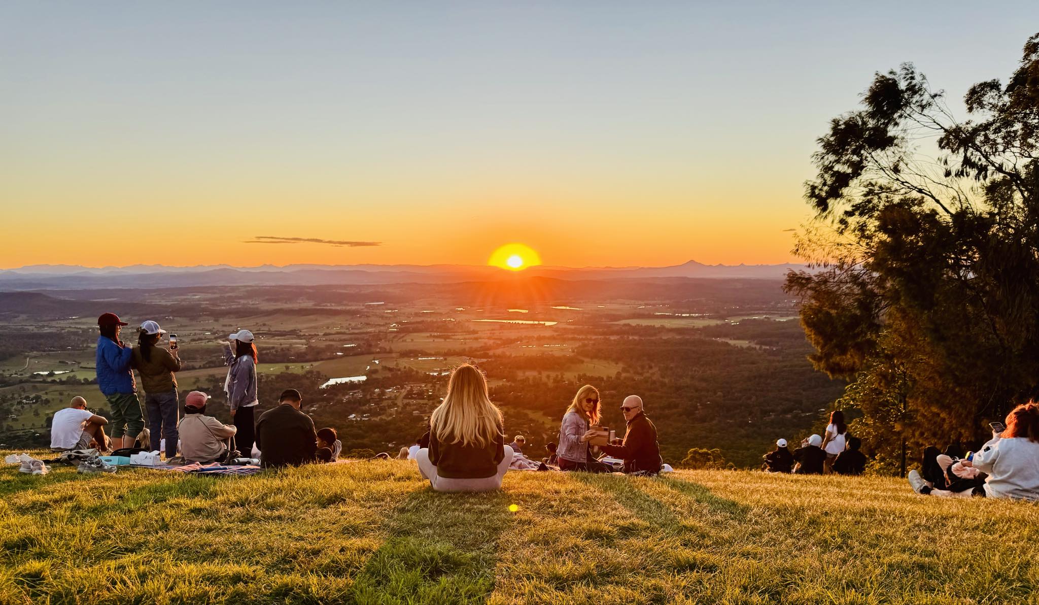Tamborine Mountain Glow Worms Sunset and Stargazing Tour