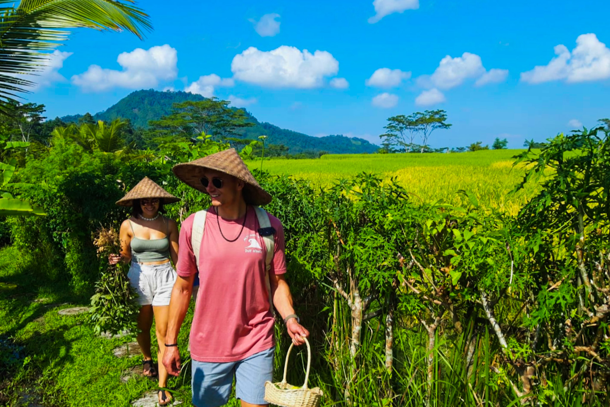 東巴厘島舒適烹飪體驗 & 花園探索之旅