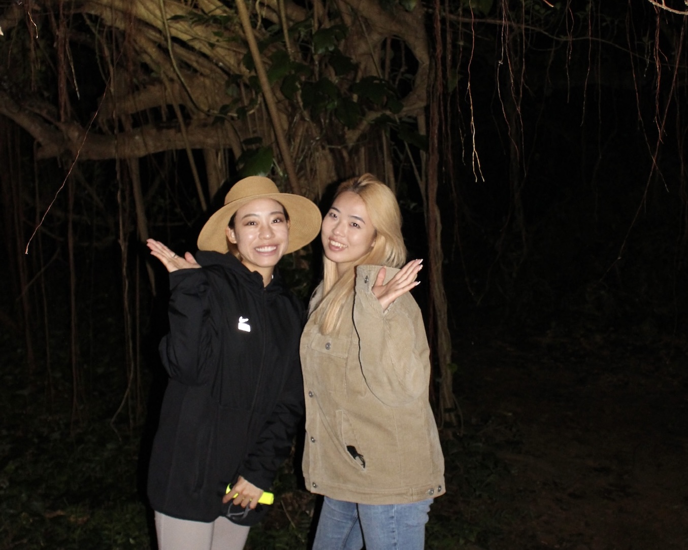 您也可以欣賞樹齡悠久、神聖的榕樹。