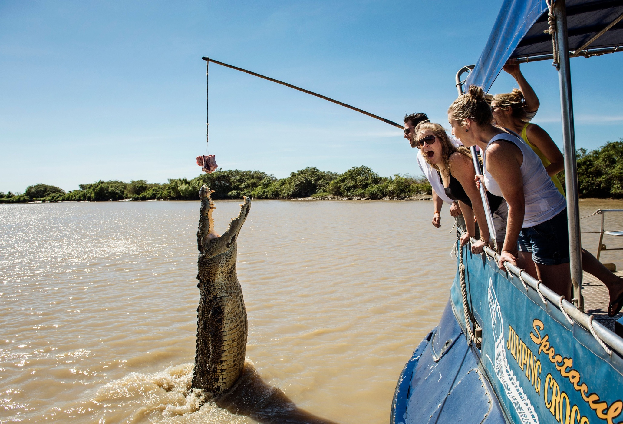 Spectacular Jumping Crocodile Cruise