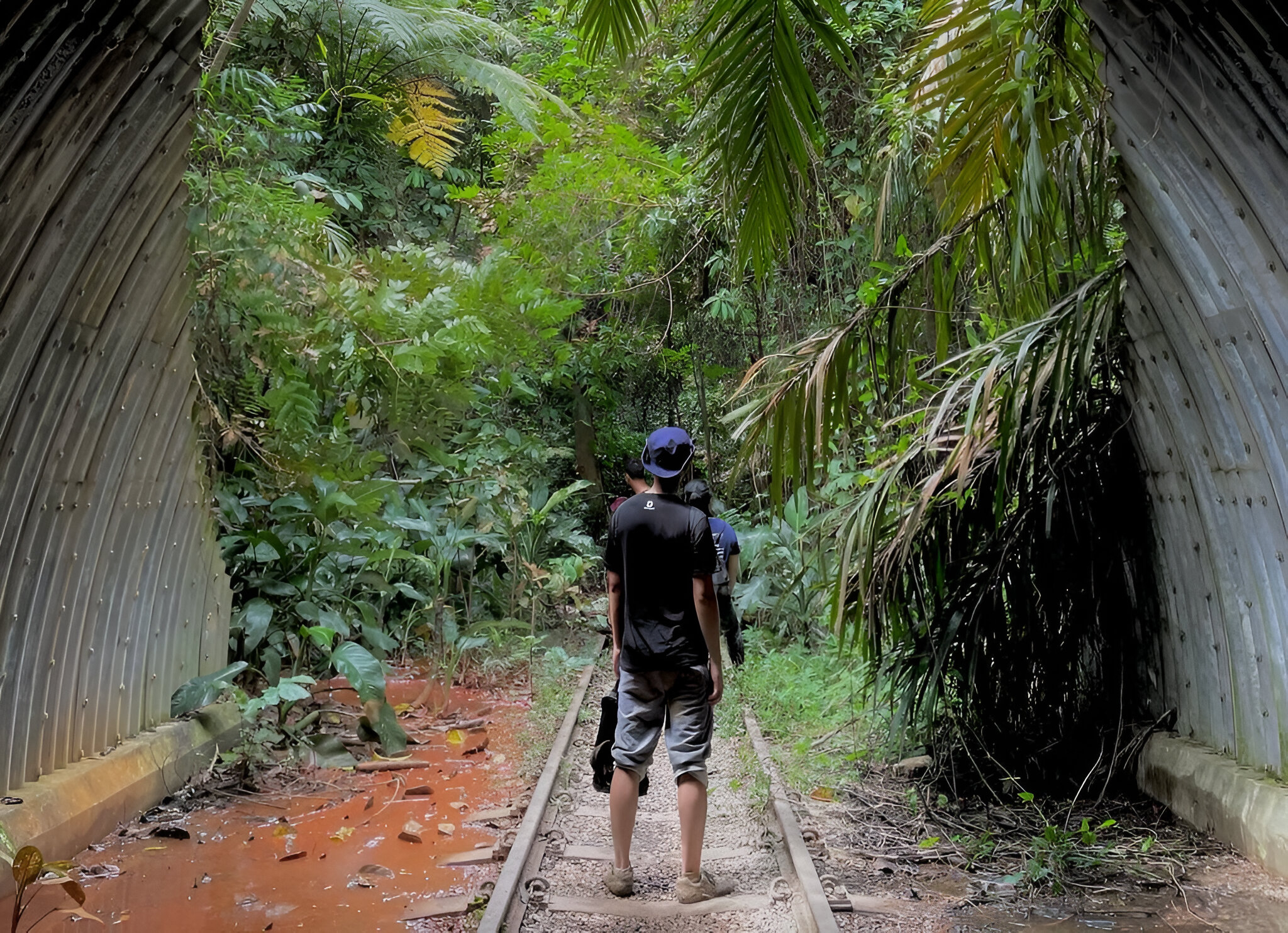 Hidden Hiking Trails in Singapore