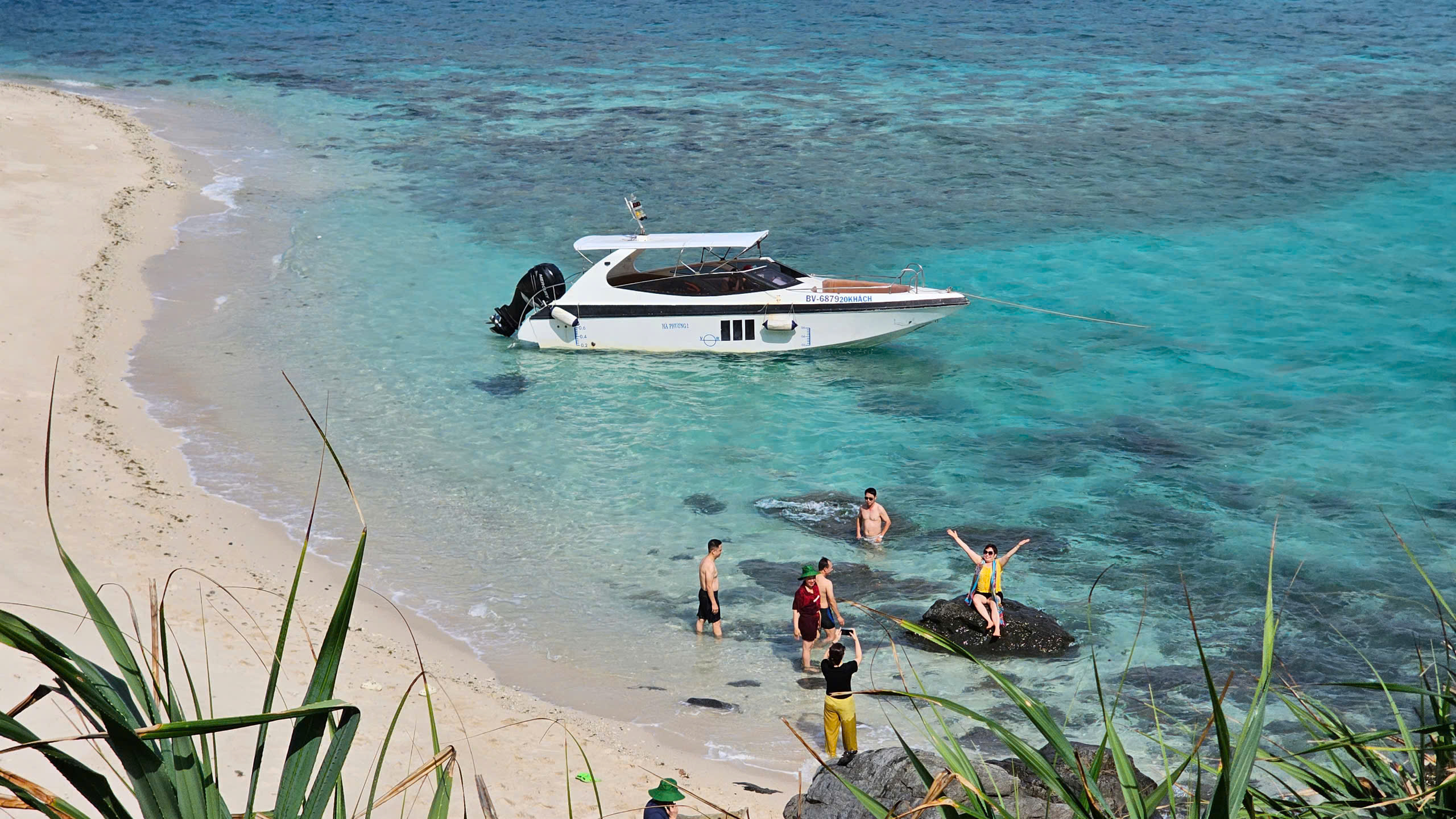 Bay Canh & Hon Cau Island Snorkeling Tour With Turtle Release 