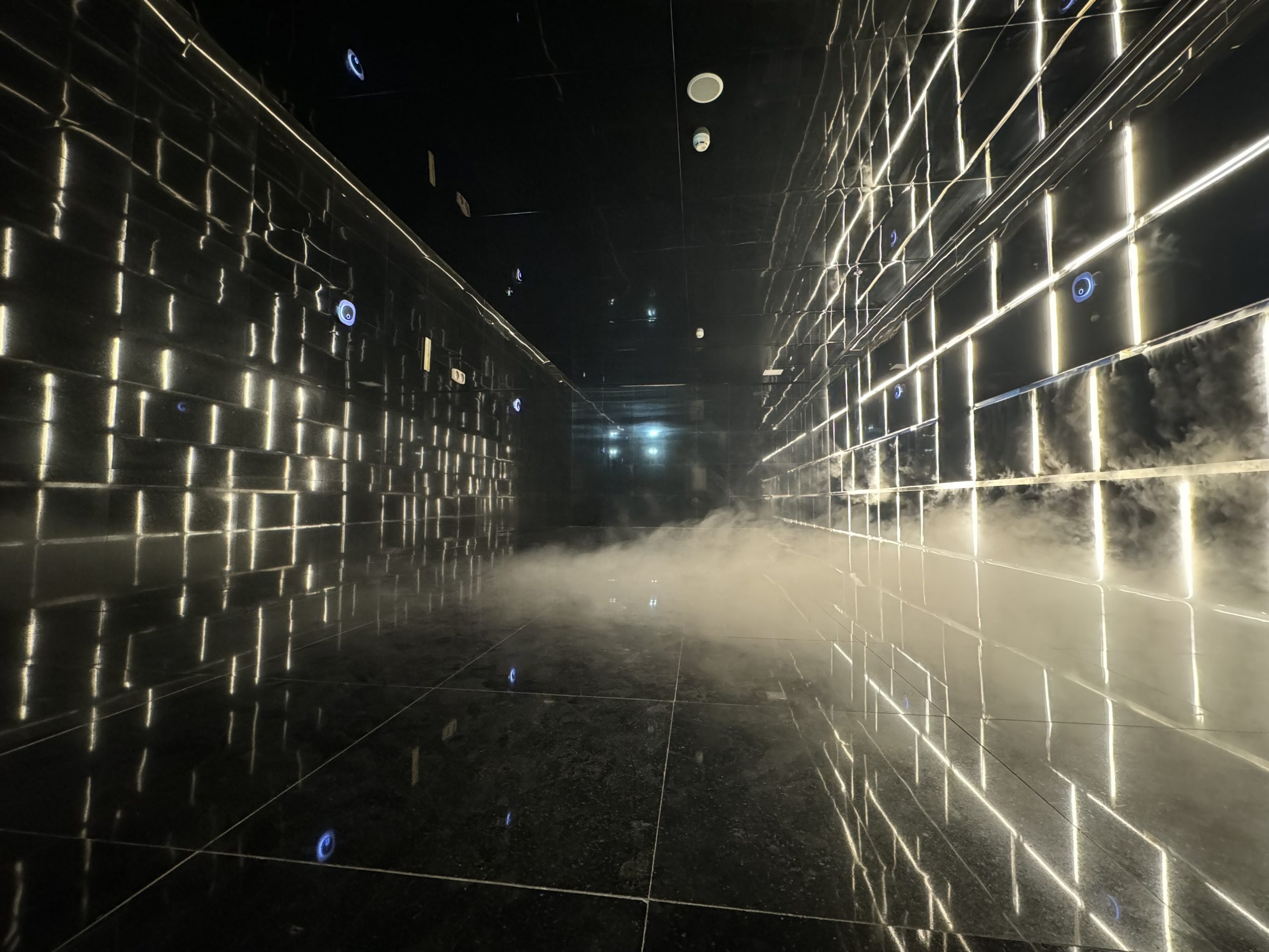 The Cloud Mist Room provides relaxation, deeply moisturizes the skin, and improves respiratory health