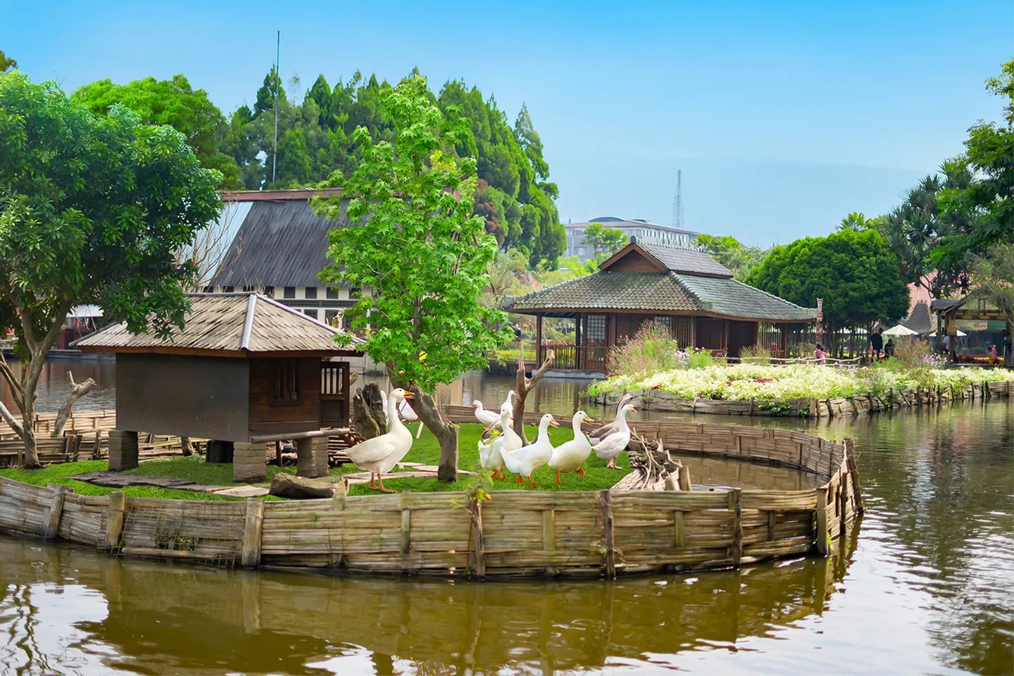 您還可以餵養動物，非常適合孩子們瞭解動物