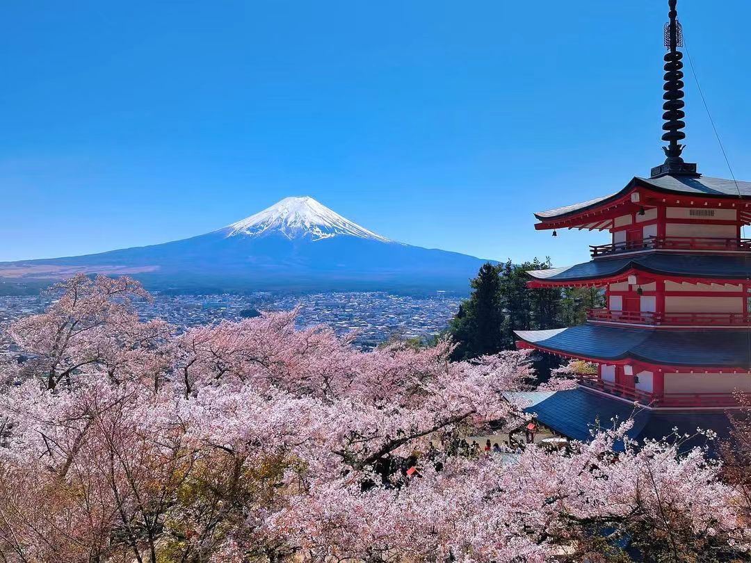 【富士山最新打卡热点一天游】新仓山浅间公园&日川时计店&麦当劳吉田店&梦之大桥&沼津鱼市场一日游 （少人精致小团可酒店接送）