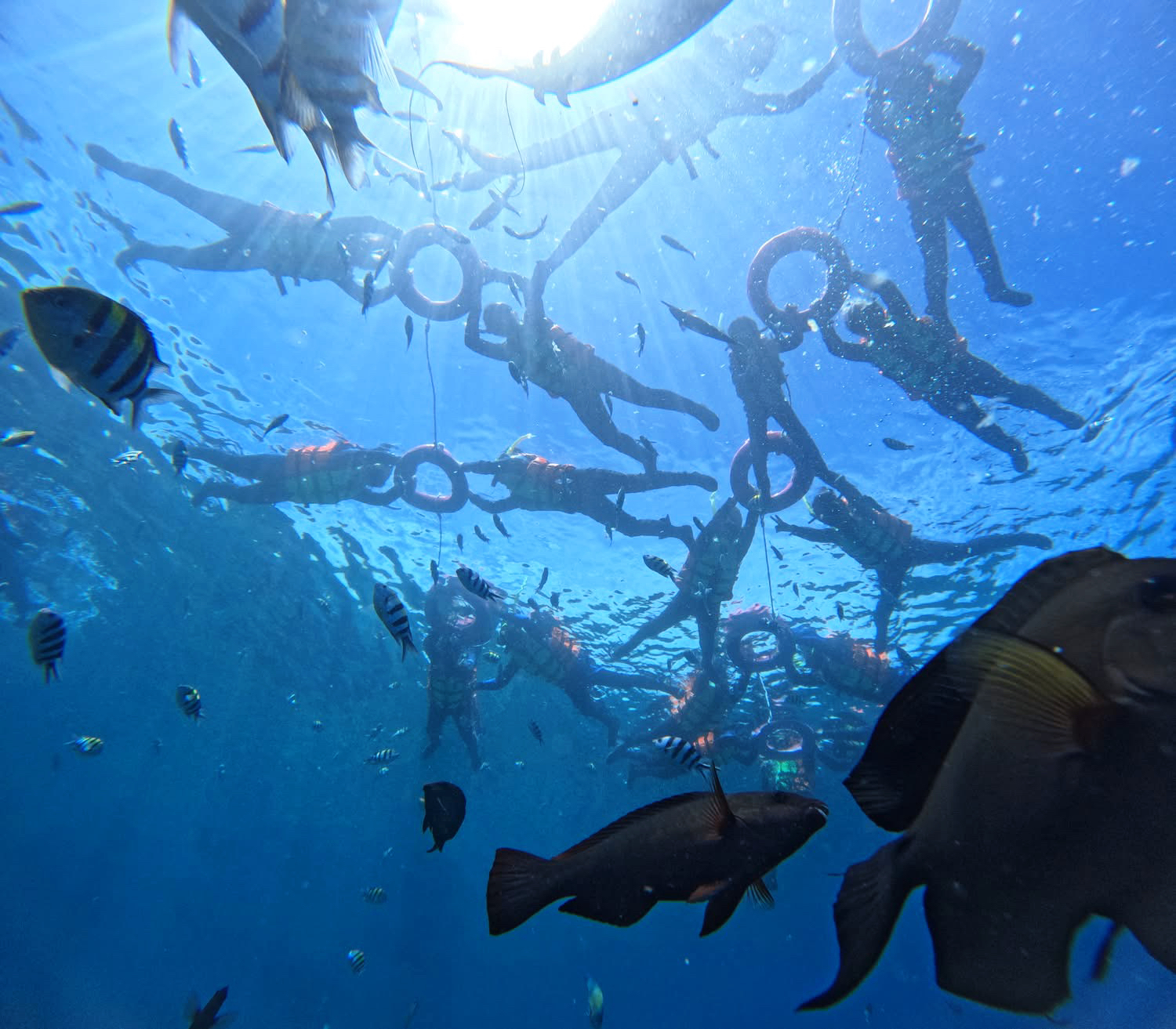 Top 10 Dive Sites in the World - Green Island Snorkeling | Shilang or Chai Kou Snorkeling Experience