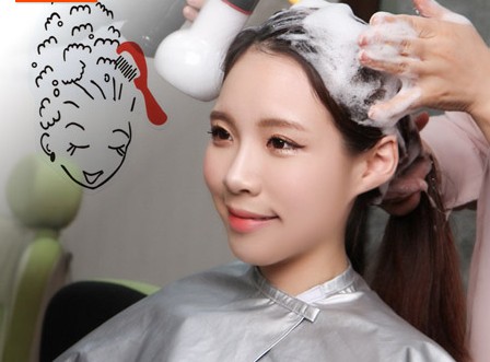 Park's Premium Head Spa Experience in Seoul