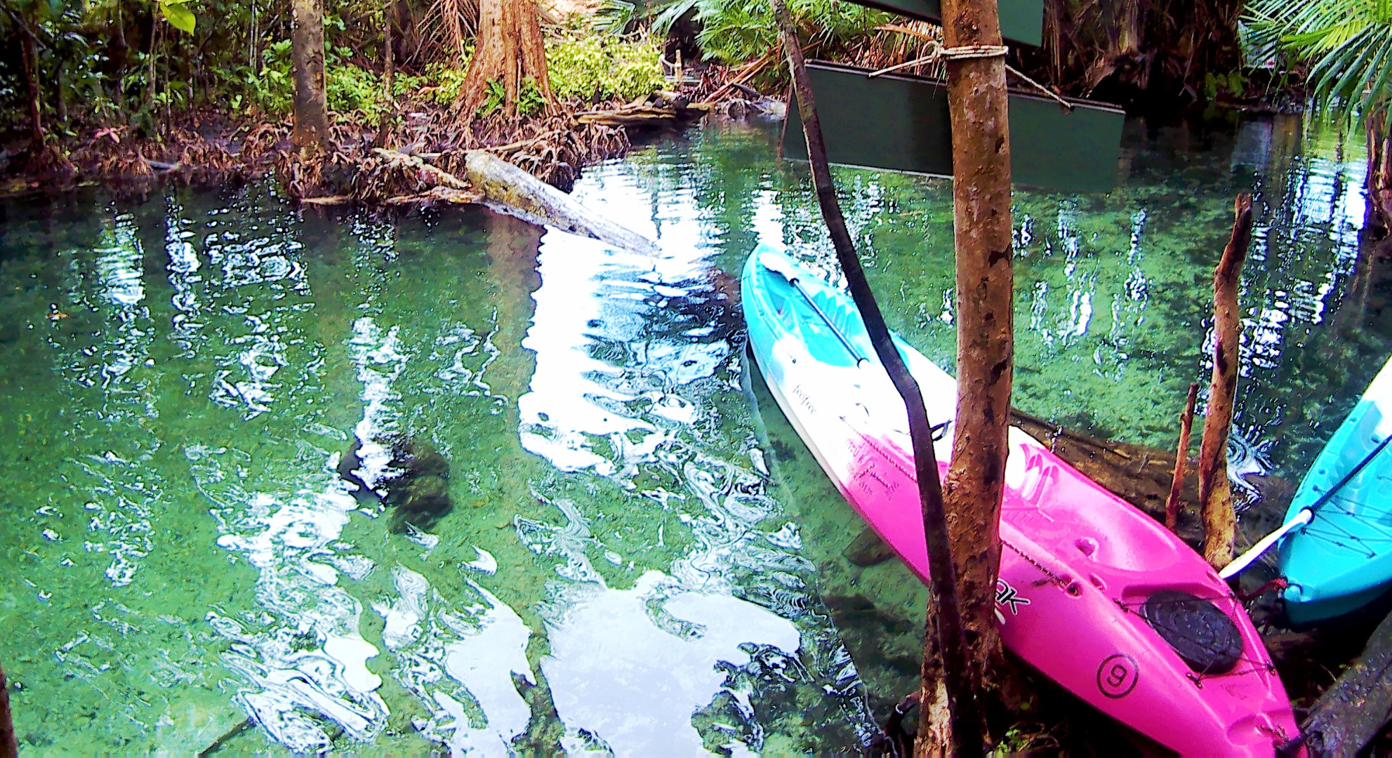 喀比島：隱世透明潟湖獨木舟＋ATV四輪越野車體驗