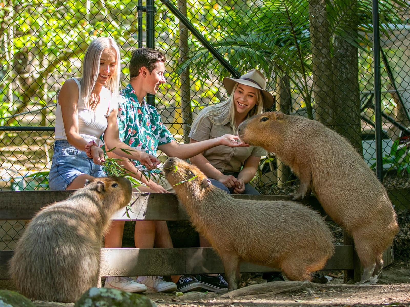 Gold Coast Currumbin Wildlife Sanctuary & Byron Bay Day Tour