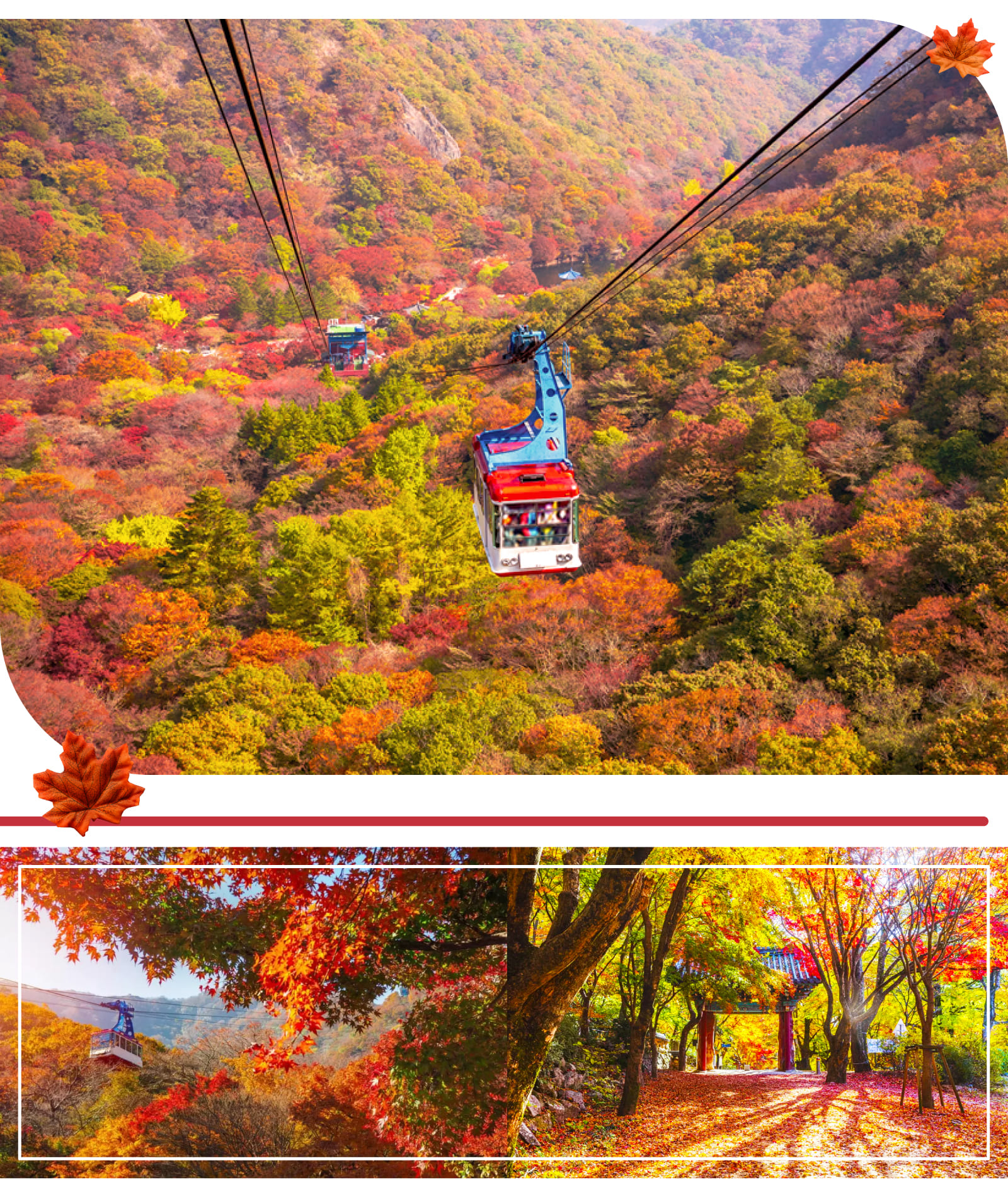 被譽為韓國最佳賞楓地點,整座山都會變成一片火紅的色彩,是秋季度假的理想之選。 被譽為韓國最佳賞楓地點,整座山都會變成一片火紅的色彩,是秋季度假的理想之選。
