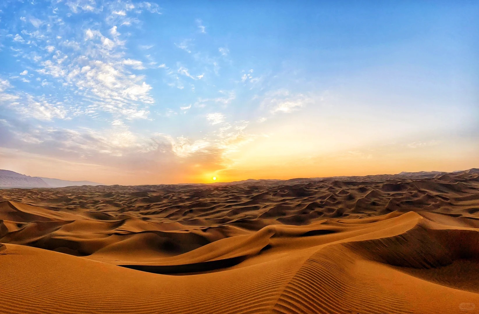 One-day tour of Grape Valley and Kumtag Desert in Urumqi
