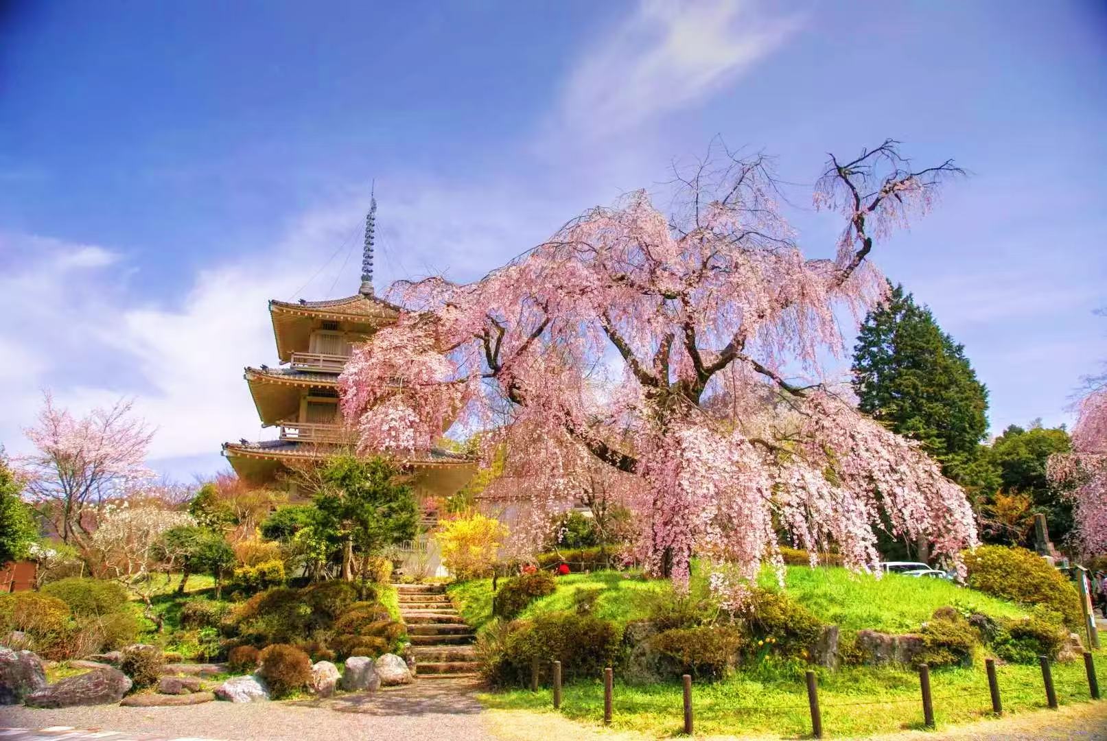 宮崎一日游（含特色牛肉午餐）高千穗+高千穗神社+天安河源    福岡出發/中英導遊