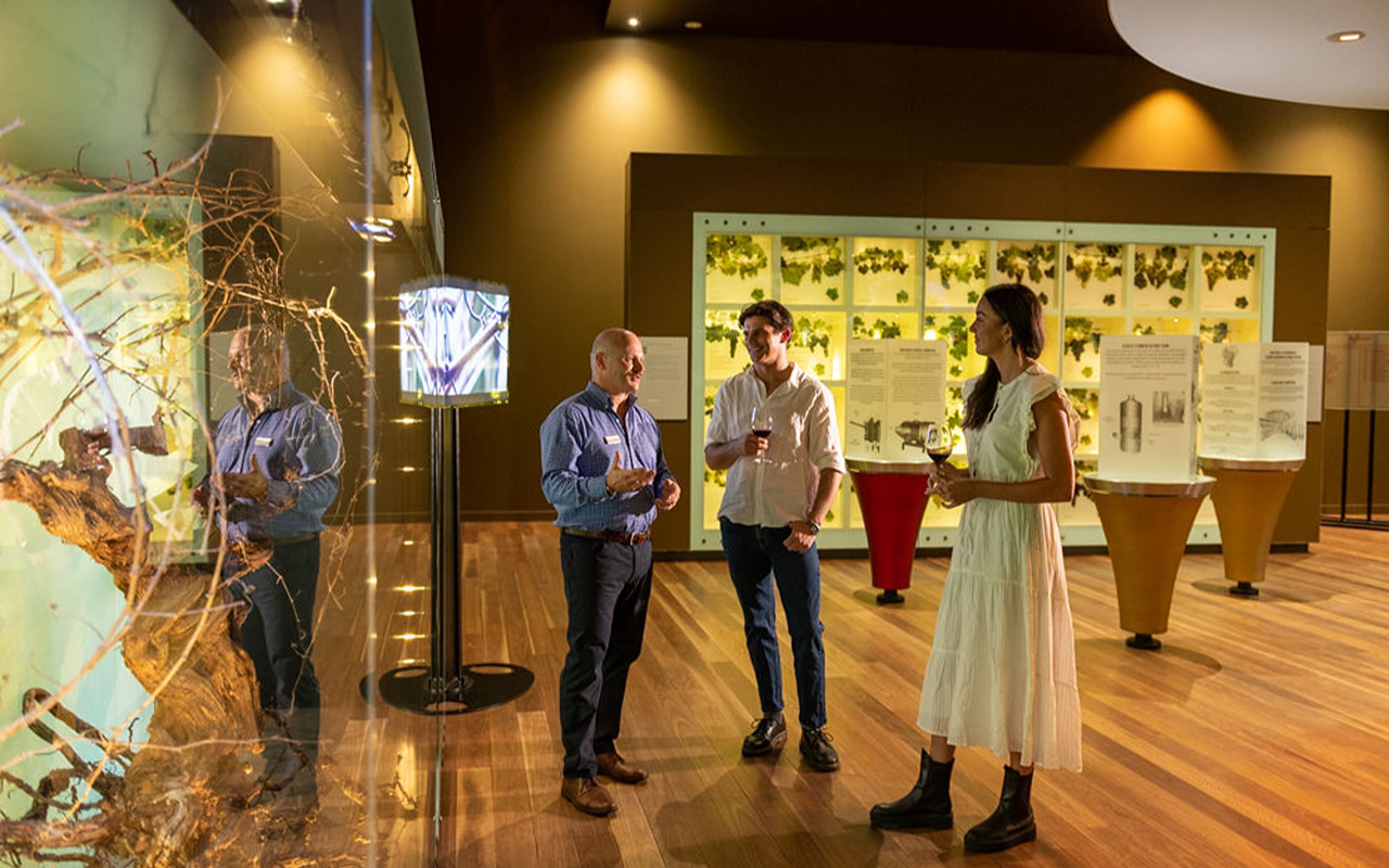 National Wine Centre Half-Day Small Group Wine Tasting in Adelaide