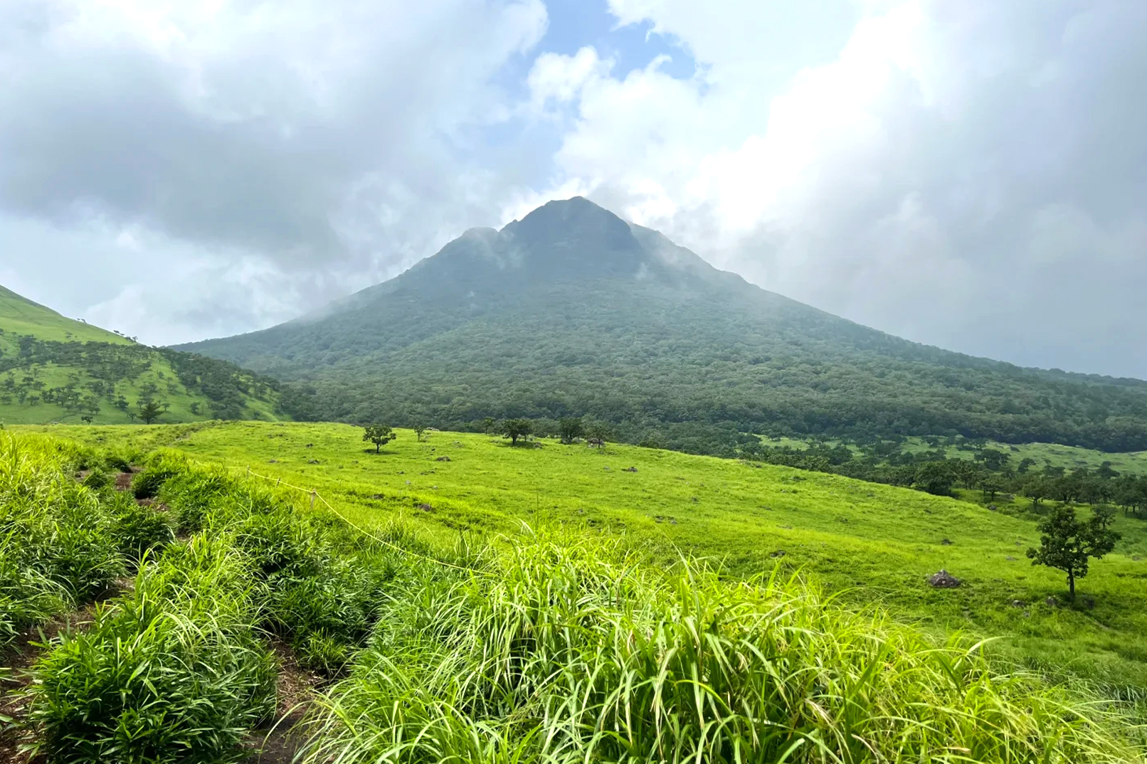 由布嶽屬於活火山地帶，具有獨特的火山地貌。山體呈現抹茶色，植被在四季呈現不同色彩。登山口四周風景優美。
