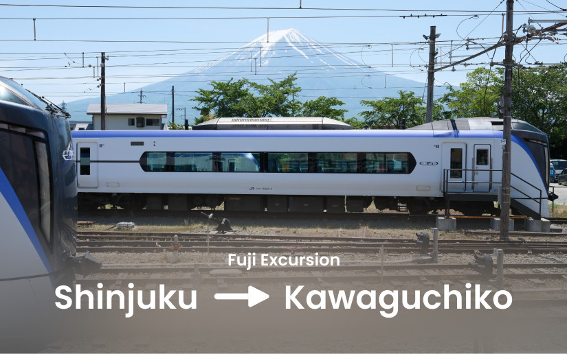 Fuji Excursion (Tokyo Shinjuku to Kawaguchiko)