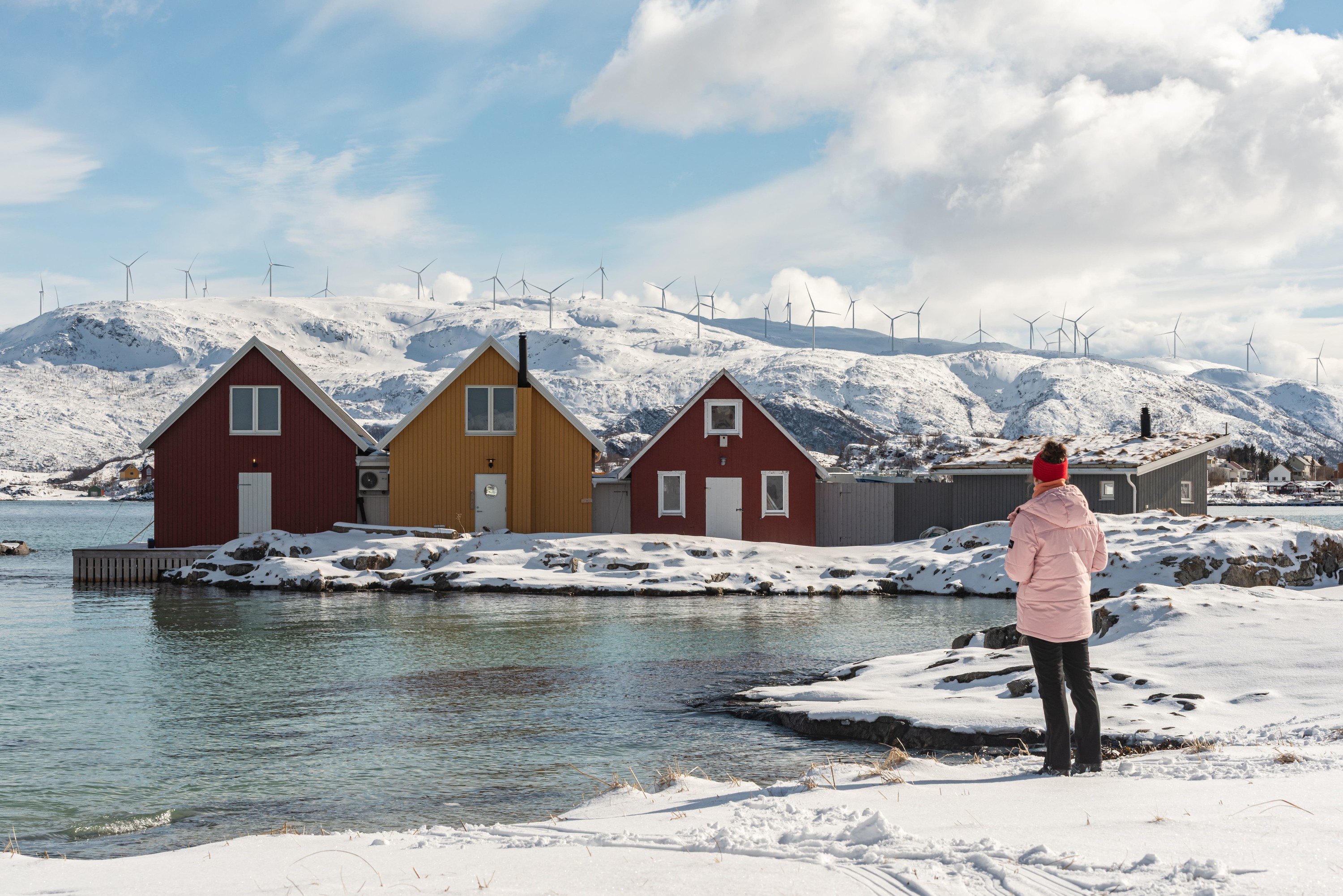 Tromsø Sommarøy & Kvaloya Half-Day Mountain & Wildlife Adventure