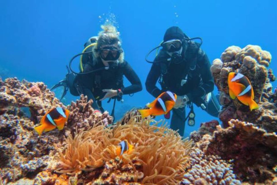 From Marsa Alam: Beginners Scuba Diving Day-Trip with Lunch