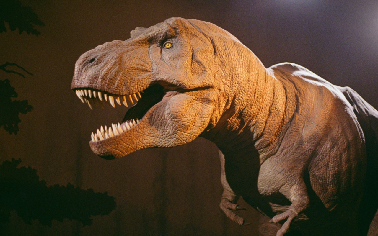 踏入自然歷史博物館，與傳奇恐龍面對面！