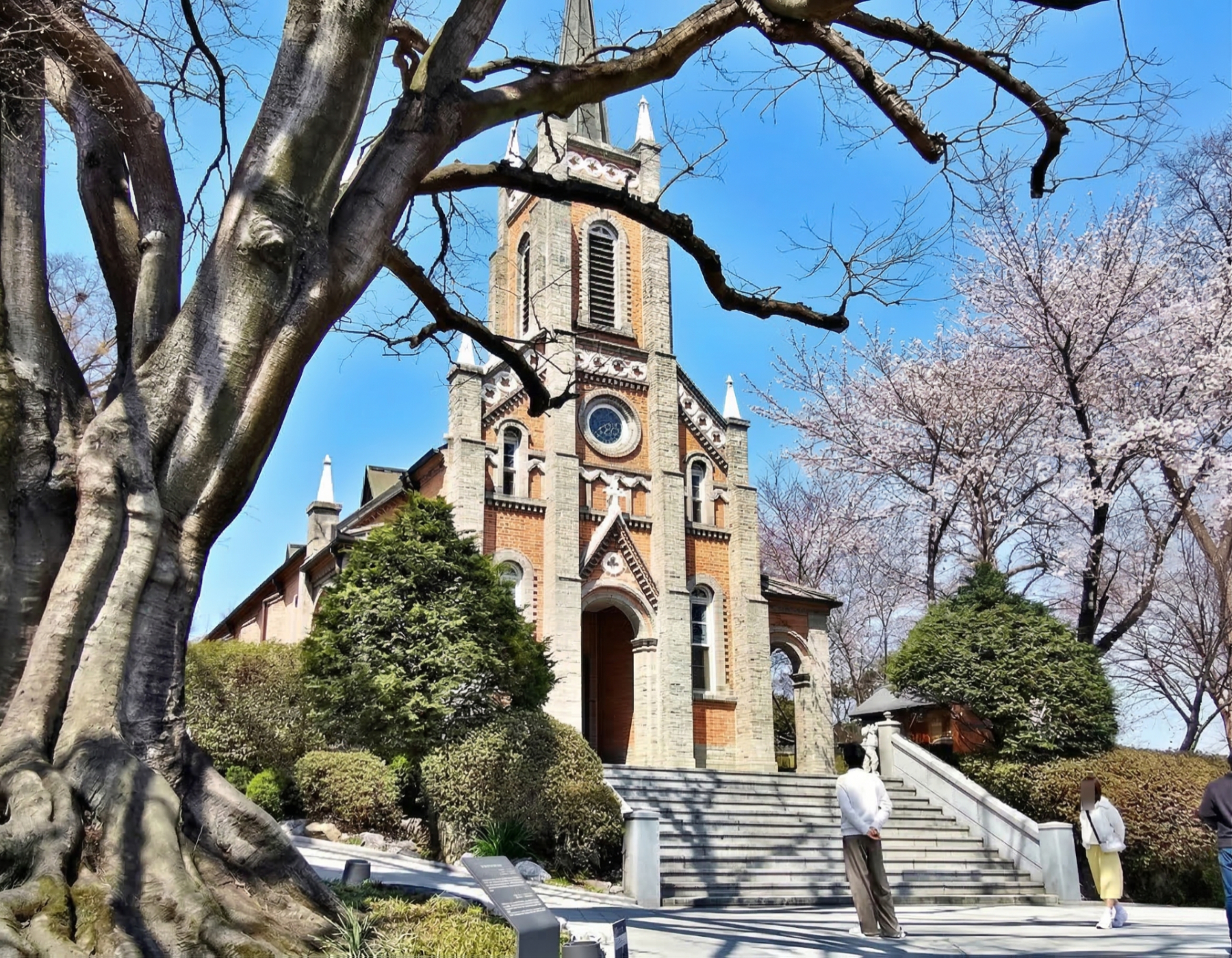 公稅里聖堂的春天，從櫻花綻放開始。在這座神秘的教堂，與百年老樹的氣息交織，記錄下你的「最美瞬間」。讓自己彷彿置身韓劇主角般浪漫！