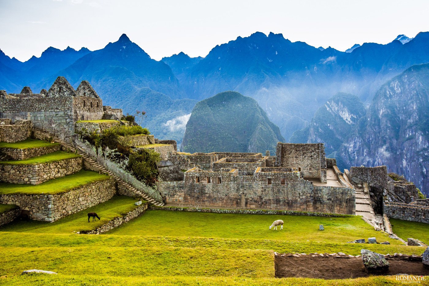 Machu Picchu By Vistadome Train Tour