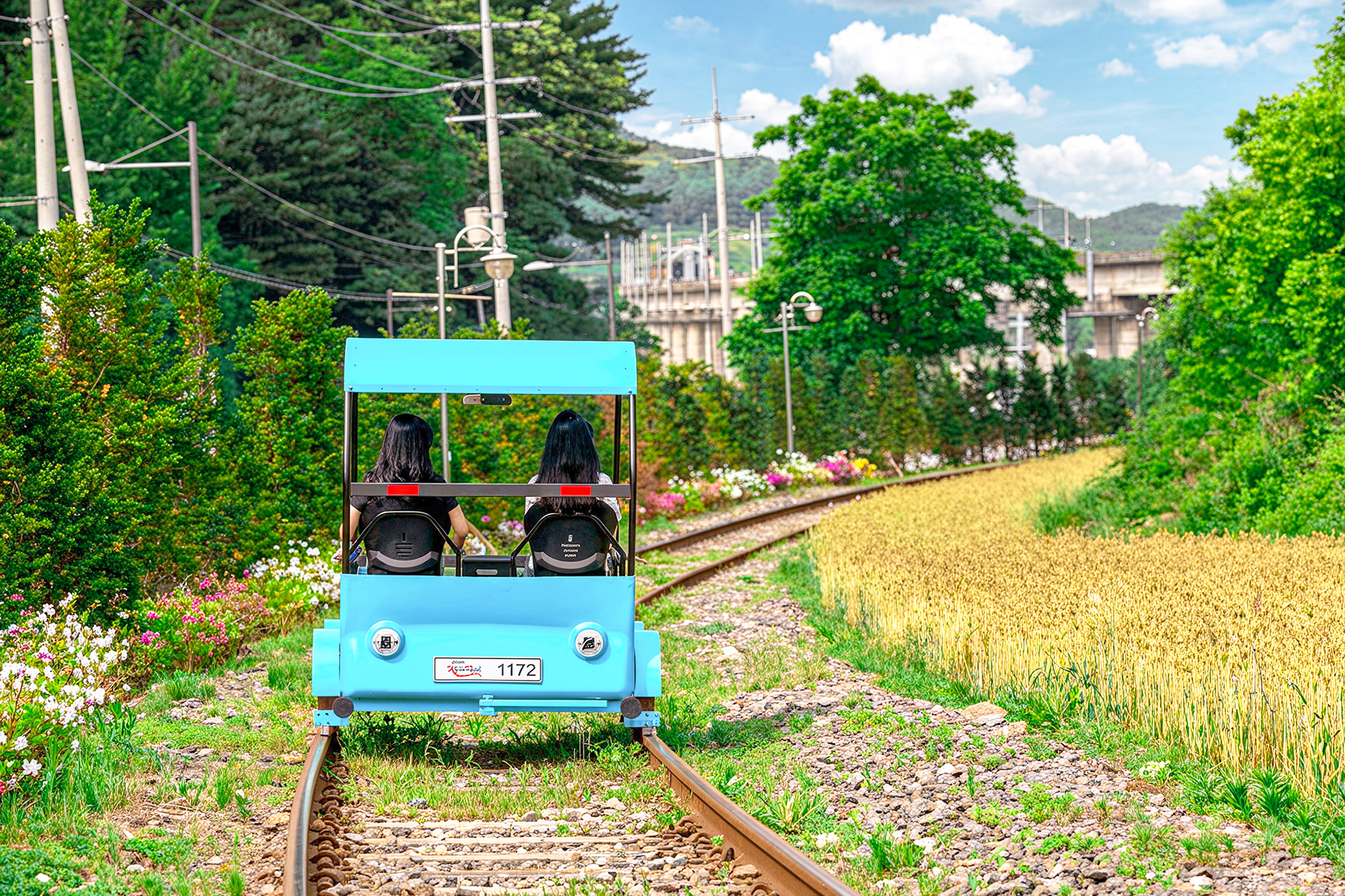 騎上江村鐵路自行車，沿著風景優美的鐵軌穿梭於大自然之間，途經多種特色隧道，享受獨特的騎乘體驗，特別適合家庭與情侶。