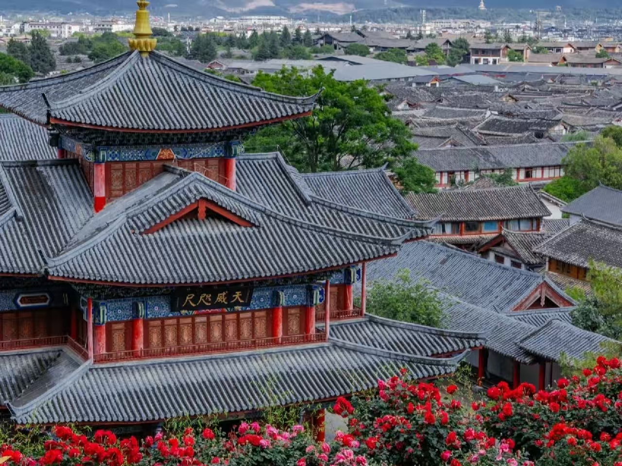 從木府高處俯瞰，天威樓的重簷攢尖頂尤為突出，金頂奪目