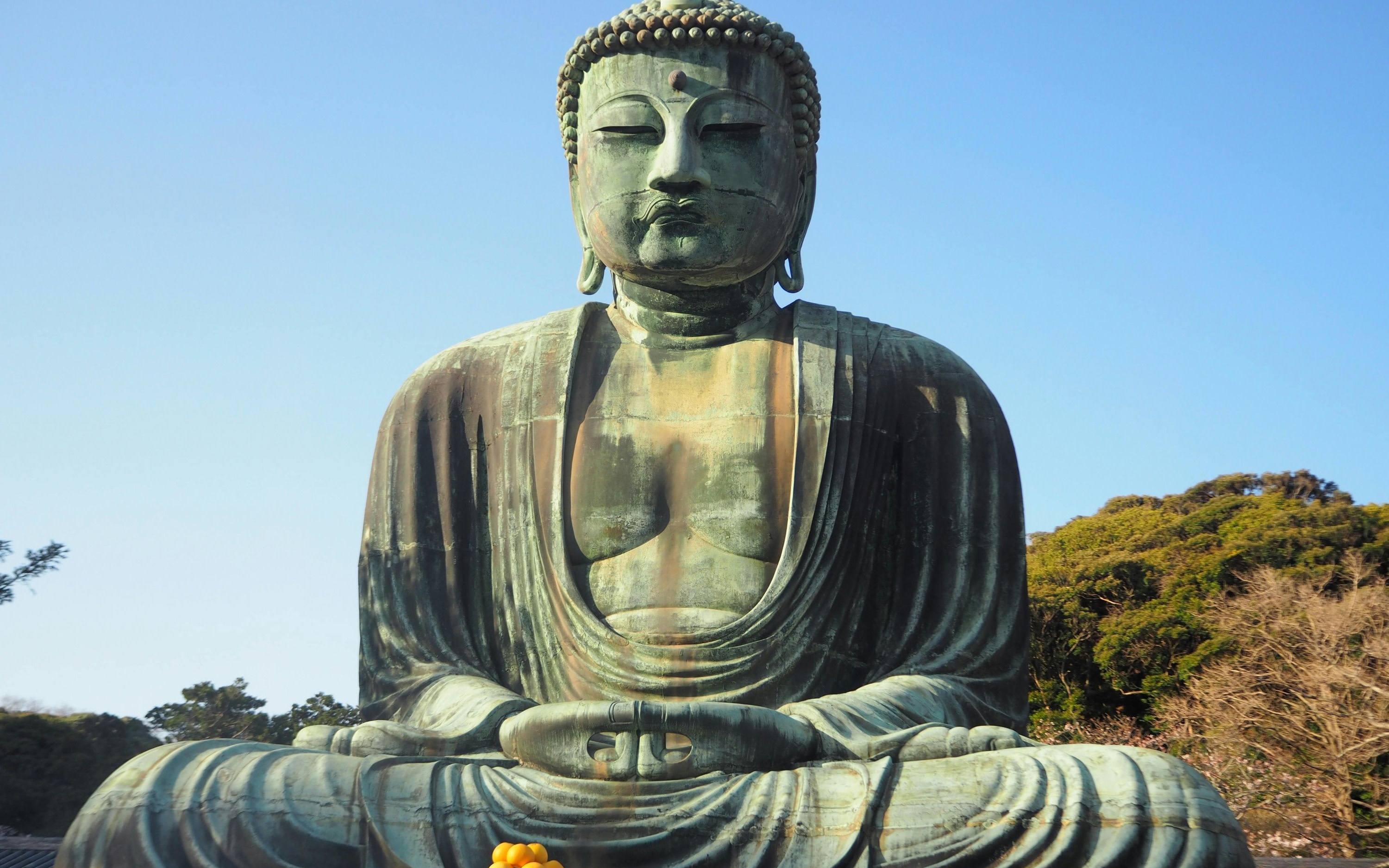 Kamakura & Yokohama Full-Day Private Guided Tour