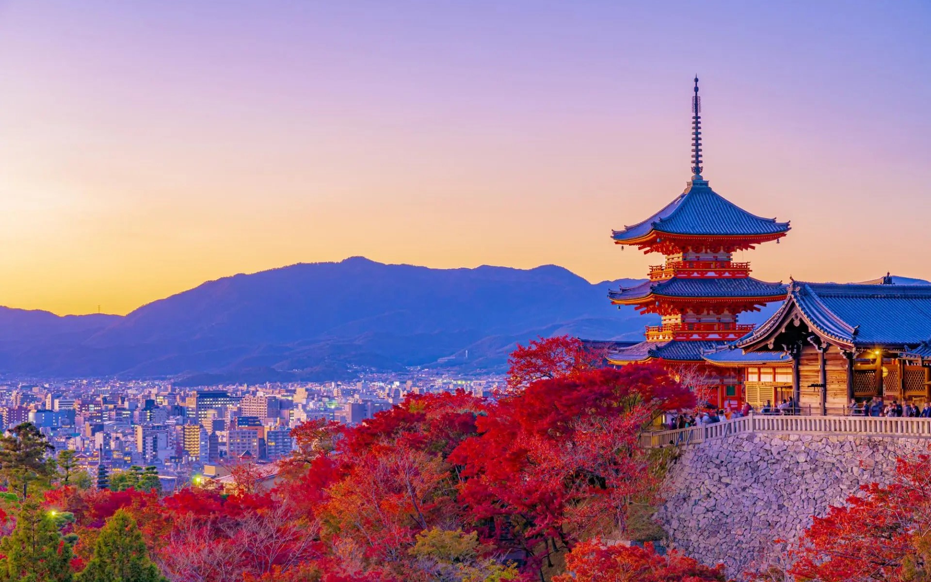 [Departing from Osaka/Kyoto] Kyoto/Nara/Osaka Enjoy a flexible and customized chartered car day trip in Kansai