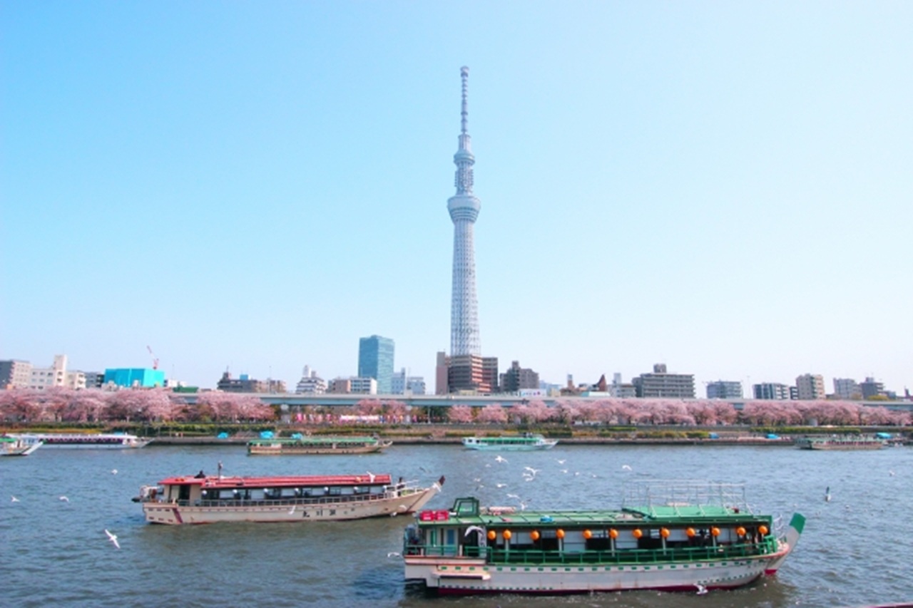 東京櫻花季網田屋形船午餐遊船方案