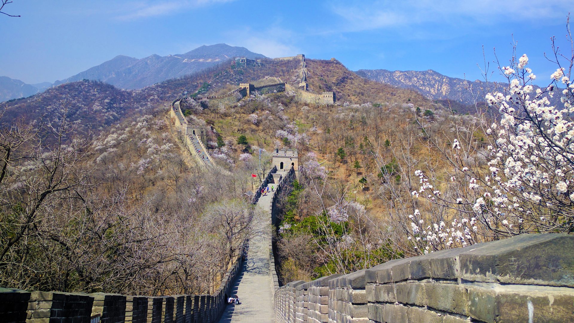 Private Day Tour to Mutianyu or Badaling Great Wall from Beijing by Chartered Car