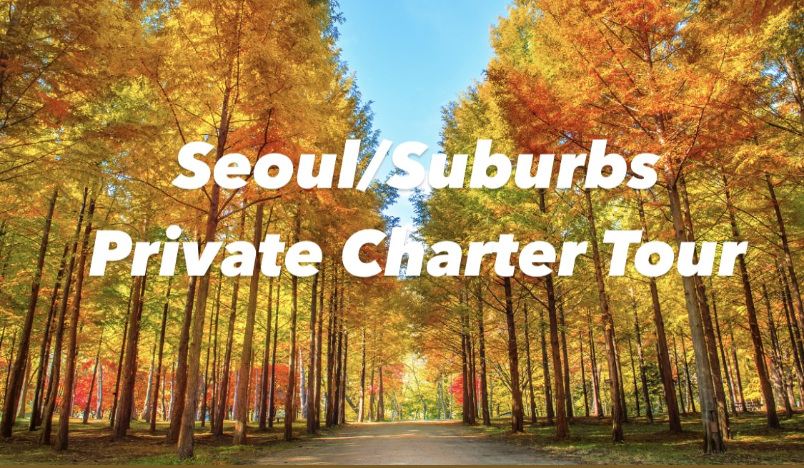 Seoul and Suburbs Private car charter tour 