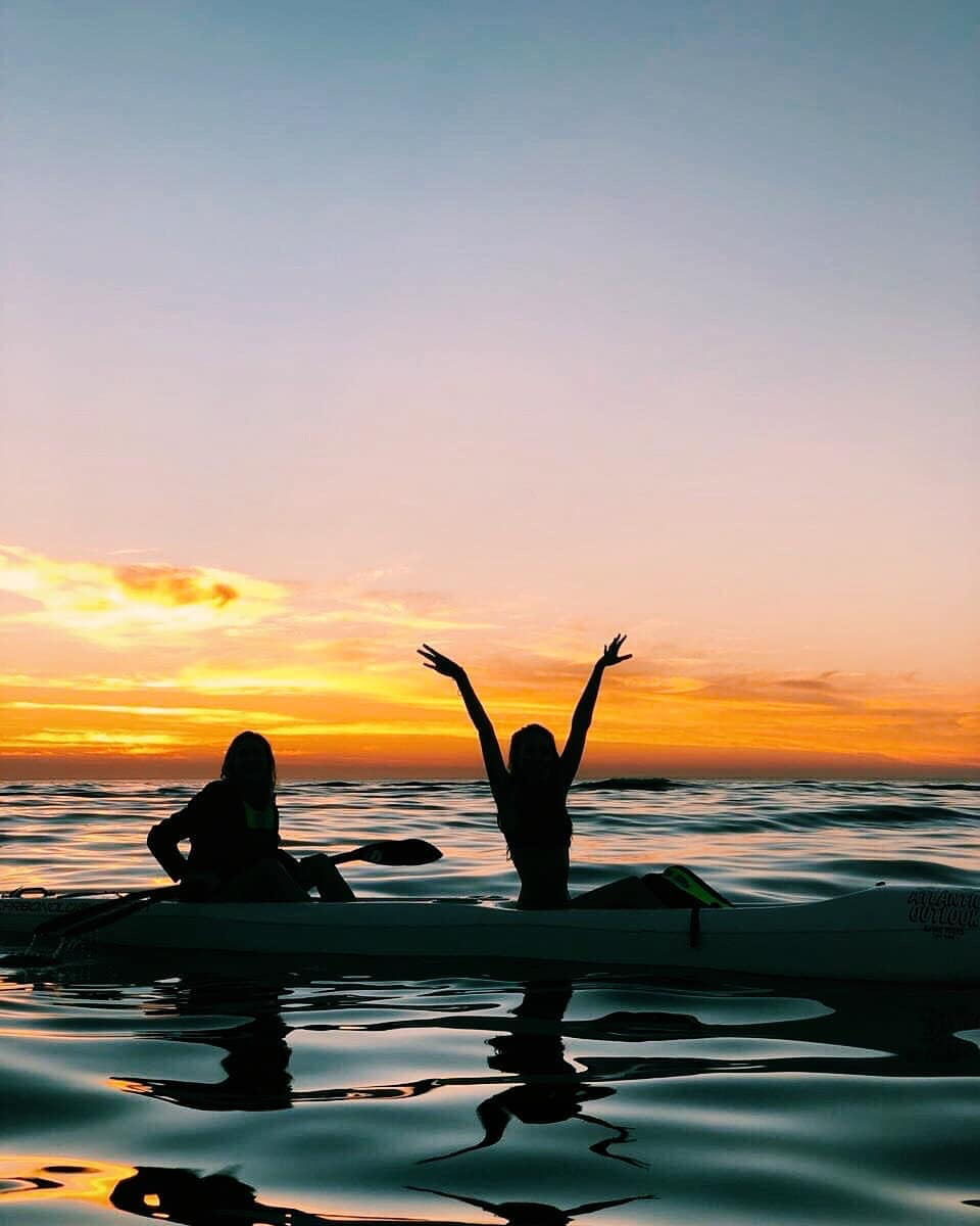 Kayak with Dolphins Experience in Cape Town