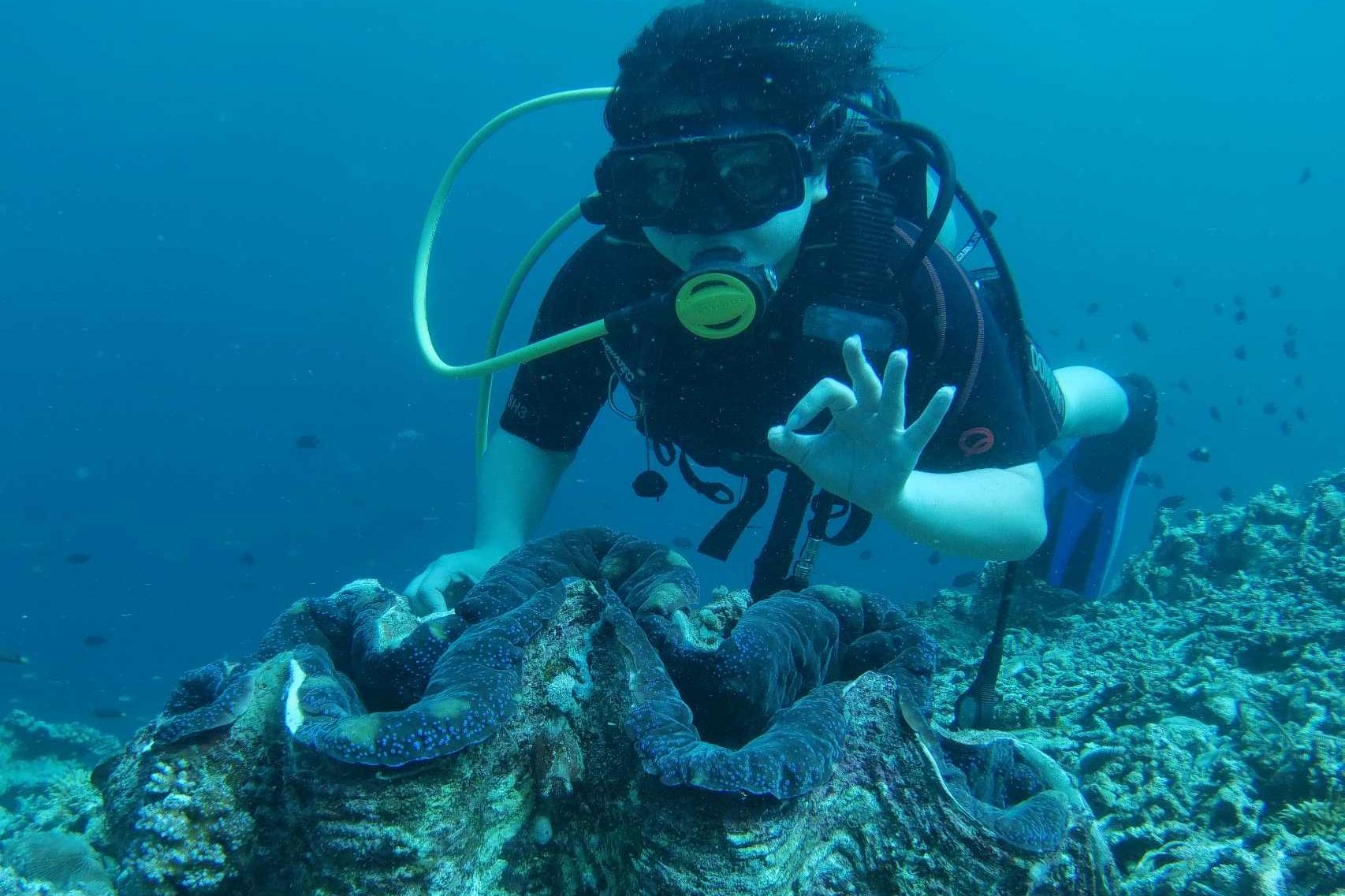 Anilao Dive Tour from Manila