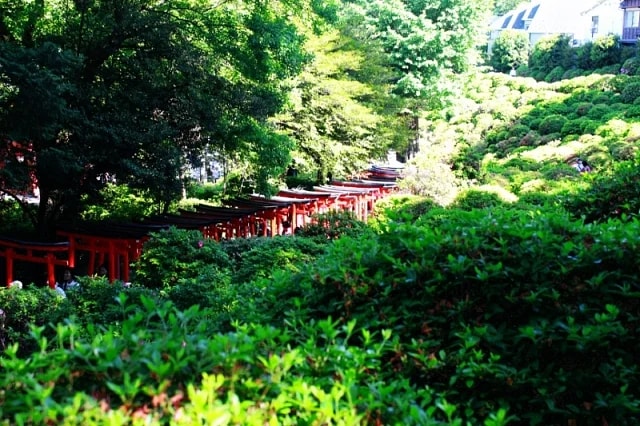 東京上野＆谷中＆千駄木歷史文化景點私人徒步導覽