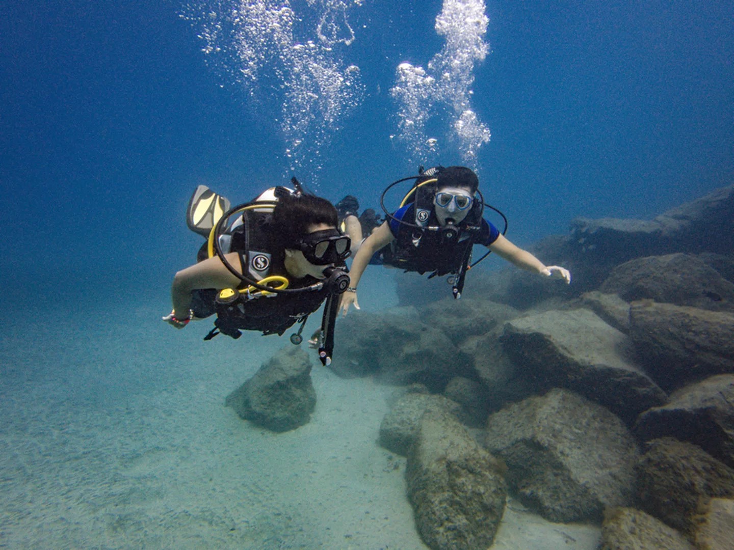 恢復活力、重獲生機、潛水：特內里費島PADI水肺訓練5*中心