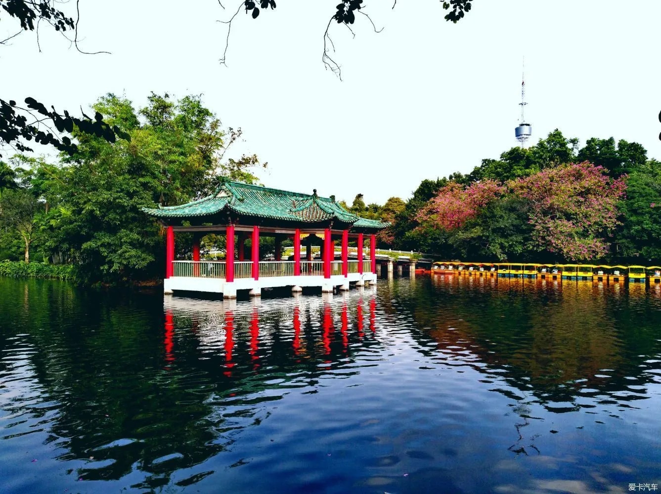 廣州陳家祠 越秀公園 廣州塔 南越王博物館 沙面私人導覽一日遊