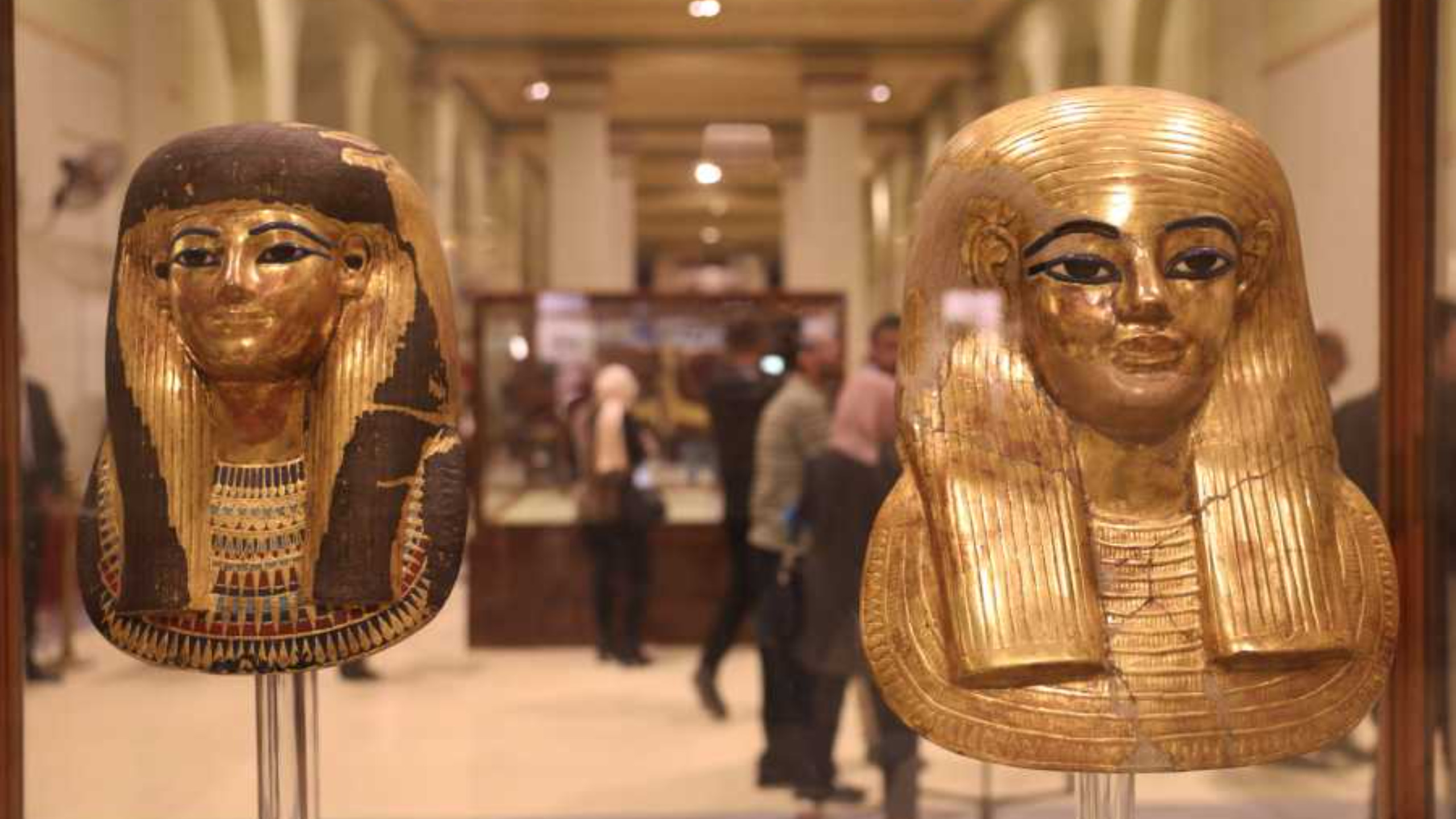 Cairo Giza Half-Day Private Egyptian Museums Tour