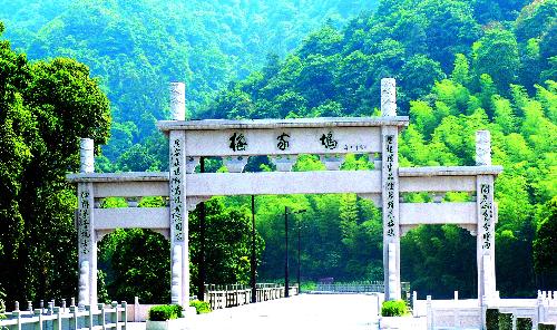 杭州龍井茶田 梅家塢村 茶文化私家團半日遊