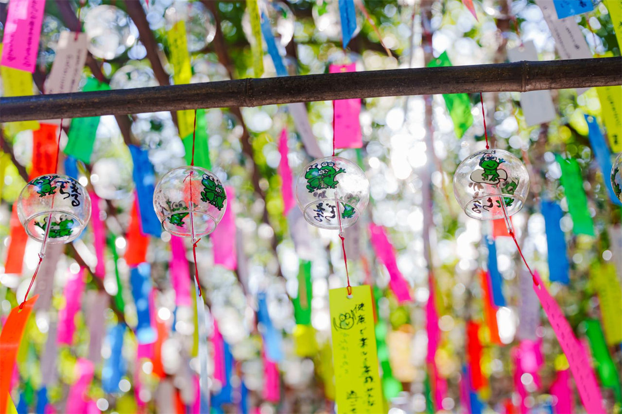 Kyushu: Dazaifu, Nyoirinji Temple, Yufuin, and Yufuin Forest Scenic Train Day Tour (Depart from Fukuoka)